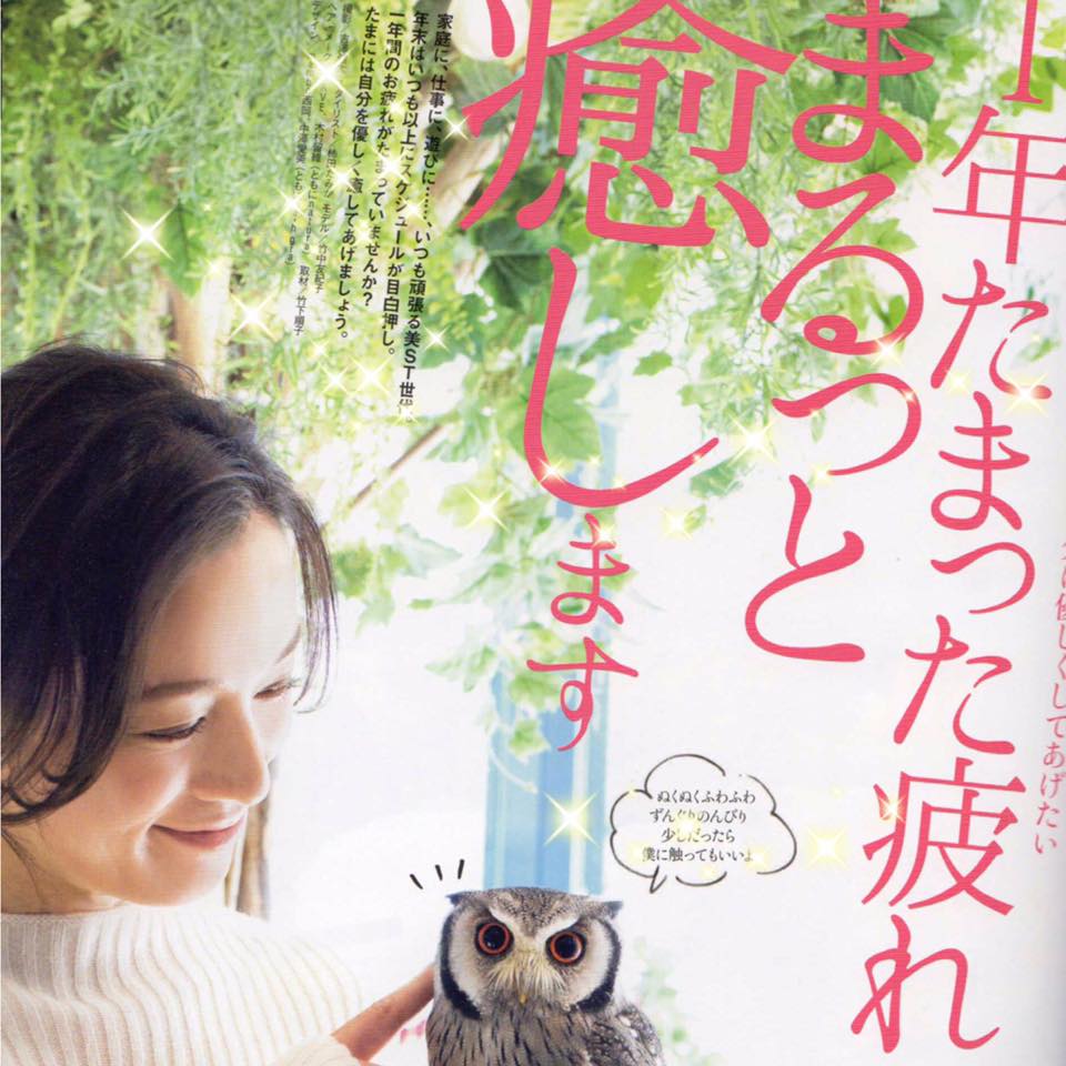美ST 2月号